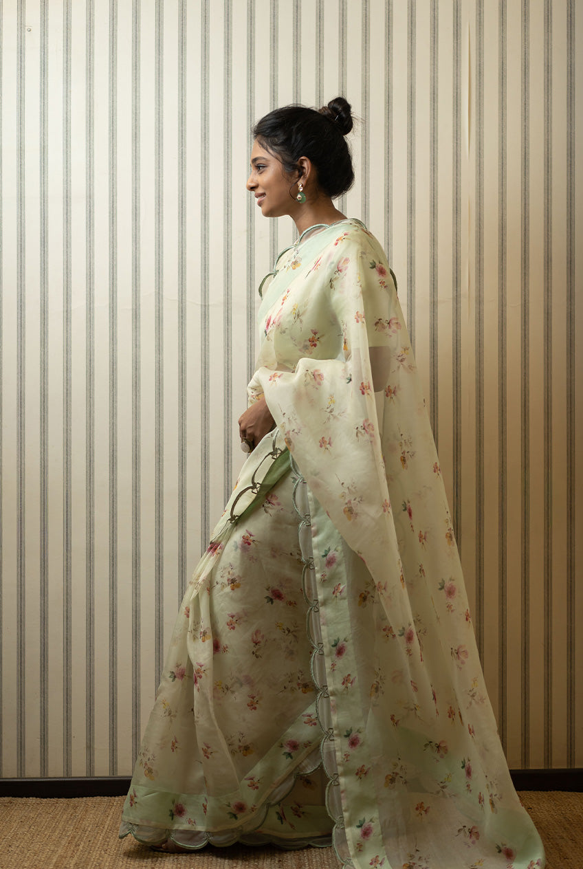 Pistachio Cake Sari