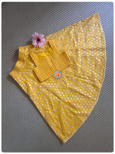 Chanderi Beneras Panelled Lehenga Set- Yellow