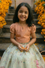 Load image into Gallery viewer, Chamak Tara Lehenga- Chikoo
