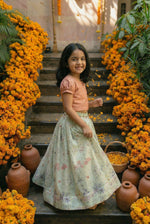 Load image into Gallery viewer, Chamak Tara Lehenga- Chikoo
