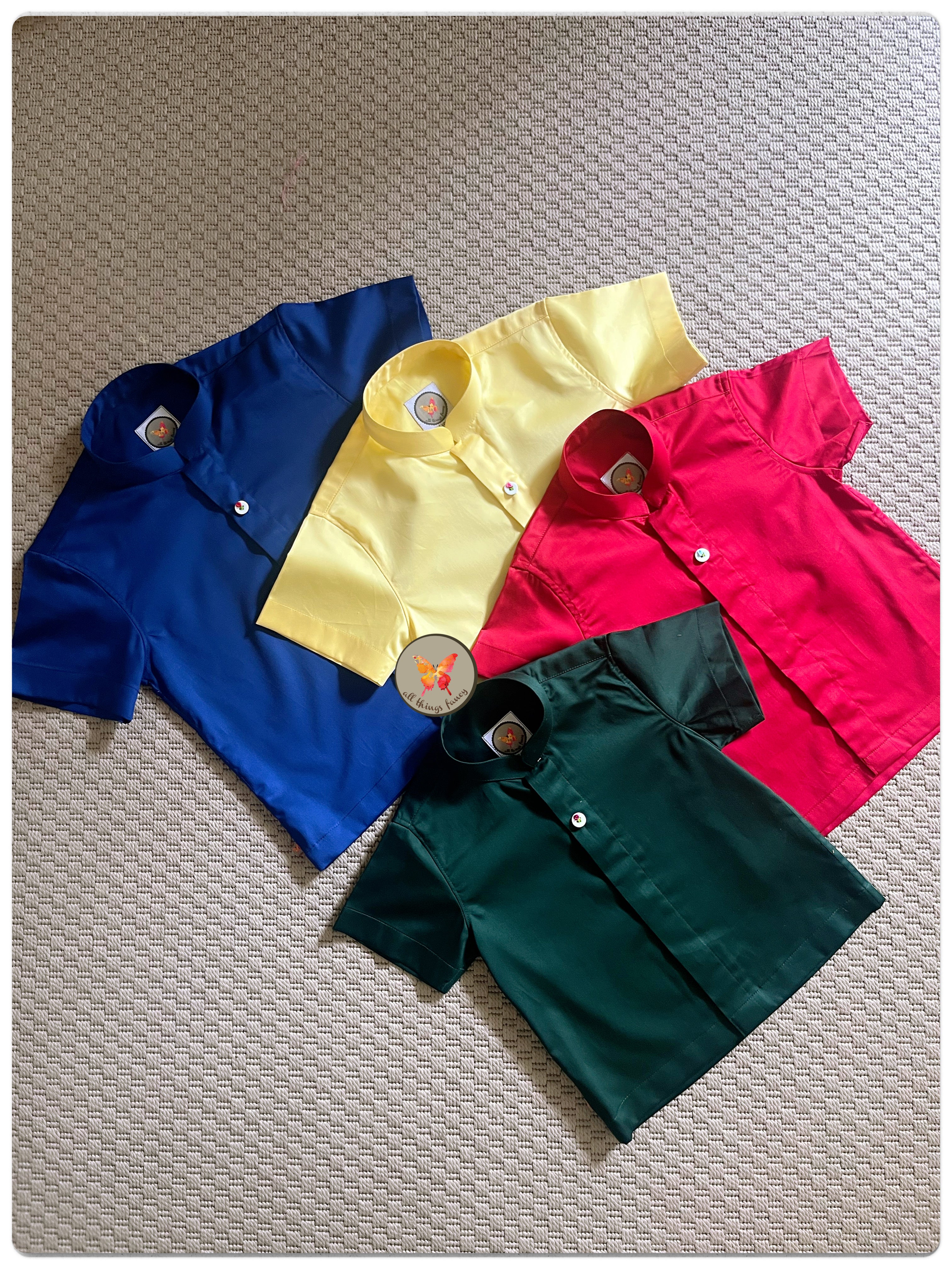 The Neeli Shirt