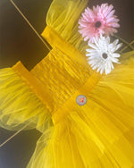 Load image into Gallery viewer, The Sunshine Tutu Dress
