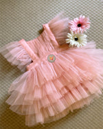 Load image into Gallery viewer, Blush Pink Tiered TUTU
