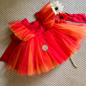 The Tri Color Tutu Dress